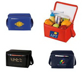Custom Cooler Bag, 6 Pack Lunch Cooler, 6 Can Cooler, Picnic Cooler, Insulated Bag, Lunch Bag, 8.5" L x 5.5" W x 6" H