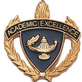 Blank Fully Modeled Epoxy Enameled Scholastic Award Pins (Academic Excellence), 7/8" L
