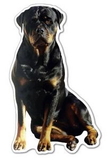 Custom Dog #9 Magnet - 13.1-15 Sq. In. (30 MM Thick)