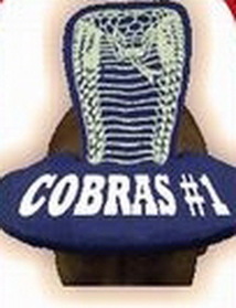 Custom Foam Cobra Pop Up Visor