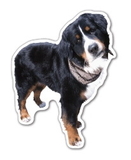Custom Dog #3 Magnet - 5.1-7 Sq. In. (30MM Thick)
