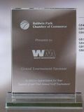 Custom Small Jade Glass Vertical Plaque Award w/ Base (4