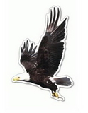 Custom Flying Eagle Magnet - 9.1-11 Sq. In. (30 MM Thick)