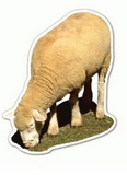 Custom Grazing Lamb Magnet - 11.1-13 Sq. In. (30 MM Thick)