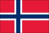 Custom Norway Nylon Outdoor UN Flags of the World (2'x3')
