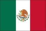 Custom Mexico Endura Poly Mounted UN O.A.S Flag of the World (12