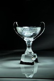 Custom Optic Crystal Cup Award - 10