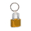 Custom Padlock Key Tag (Single Color), Price/piece