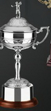 Custom Swatkins Endurance Cup Award w/ Golfer Lid & Wood Base (10