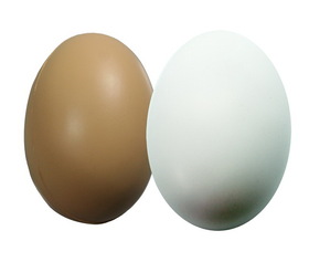 Custom Brown Or White Egg Squeezie