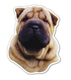 Custom Dog #10 Magnet - 11.1-13 Sq. In. (30 MM Thick)