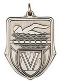 Custom 100 Series Stock Medal (Swimming) Gold, Silver, Bronze