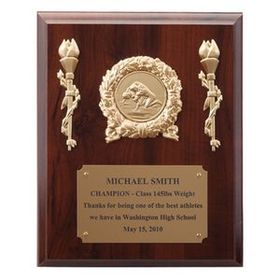 8"x10" Plaque w/Gold Brass Plate Takes Insert