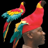 Blank Parrot Hat