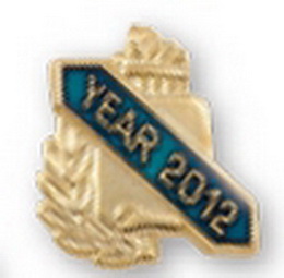 Blank Enameled & Epoxy Domed Scholastic Award Pin (Year 2013), 5/8" W