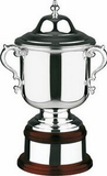 Custom Swatkins League Champions Plain Cup Award w/ Lid (10.75