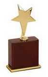 Custom Gold Star Award, 3 3/8