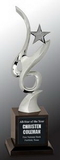 Custom Silver Art Star Award, 3.5