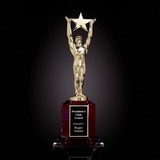 Custom Star Achievement Award w/ Rosewood Base (13