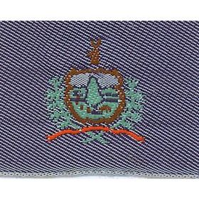 Custom Woven State Flag Applique - Vermont