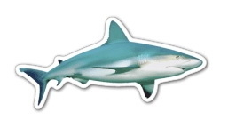 Custom 3.1-5 Sq. In. (B) Magnet - Shark (4.32 Sq. In.), 30mm Thick