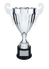 Custom Silver Plated Aluminum Cup Trophy w/ Plastic Base (13 1/4")