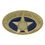 Custom Service Award Pins (Gold Star), 1" L, Price/piece