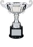 Custom Silver Plated Aluminum Cup Trophy w/ Plastic Base (9 3/4