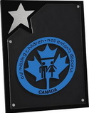 Custom North Star Plaque (8