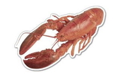 Custom Lobster Magnet - 9.1-11 Sq. In. (30 MM Thick)