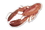 Custom Lobster Magnet - 9.1-11 Sq. In. (30 MM Thick), Price/piece