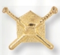 Custom Crossed Bats Award Pin