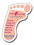 Custom Stock 20 Mil Footprint Magnet, 2.625" W x 3.5" H x 20 Thick, Price/piece