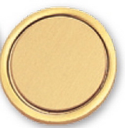 Blank Gold Pin w/Clutch Back (1")