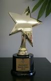 Custom Star Award Trophy, 8