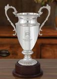 Custom Harrington Trophy Cup, 18 1/2