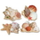 Custom Seashell Cutouts, 16" L, Price/piece