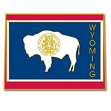Blank Wyoming Pin