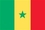 Custom Nylon Senegal Indoor/ Outdoor Flag (2'x3'), Price/piece