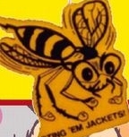 Custom Yellow Jacket Mascot on a Stick