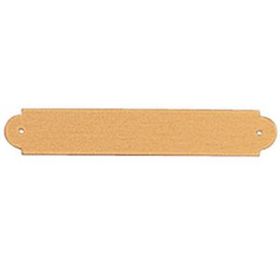 Blank Satin Brass Plate W/Notched & Rounded Corners & 2 Holes (3"X1/2")