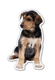 Custom Puppy Magnet - 5.1-7 Sq. In. (30MM Thick)