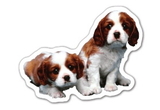 Custom Puppies Magnet (7.1-9 Sq. In. & 30mm Thick)