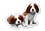 Custom Puppies Magnet (7.1-9 Sq. In. & 30mm Thick), Price/piece