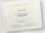 Custom Foil Embossed Stock Certificate (Achievement), 8 1/2
