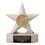 Custom Sand Cast Stone Star Academic Trophy (7"), Price/piece