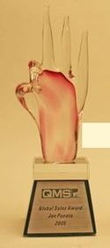 Custom Glass Perfect Sign Award (9.5")