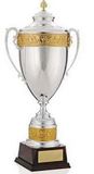 Custom Valiant Victory Cup Award (29