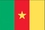 Custom Nylon Cameroon Indoor/ Outdoor Flag (5'x8'), Price/piece