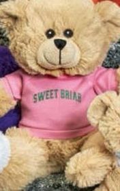 Custom 10" Beige Patty Bear Stuffed Animal